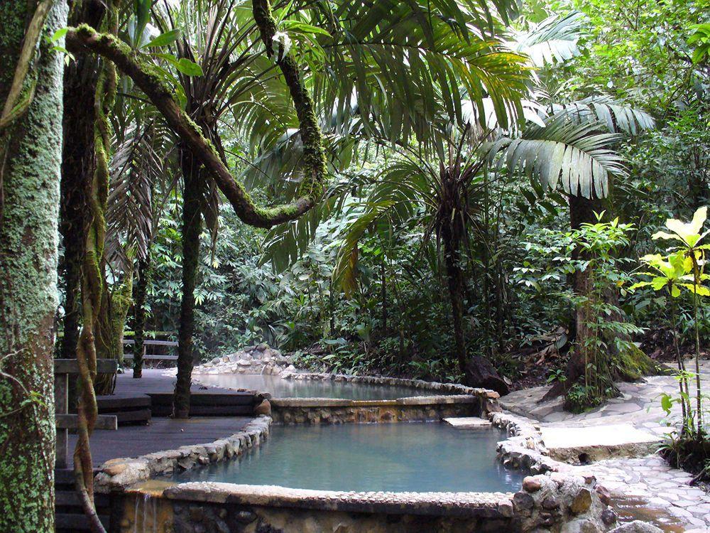 Hotel Termales Del Bosque & Hot Springs La Marina Zewnętrze zdjęcie