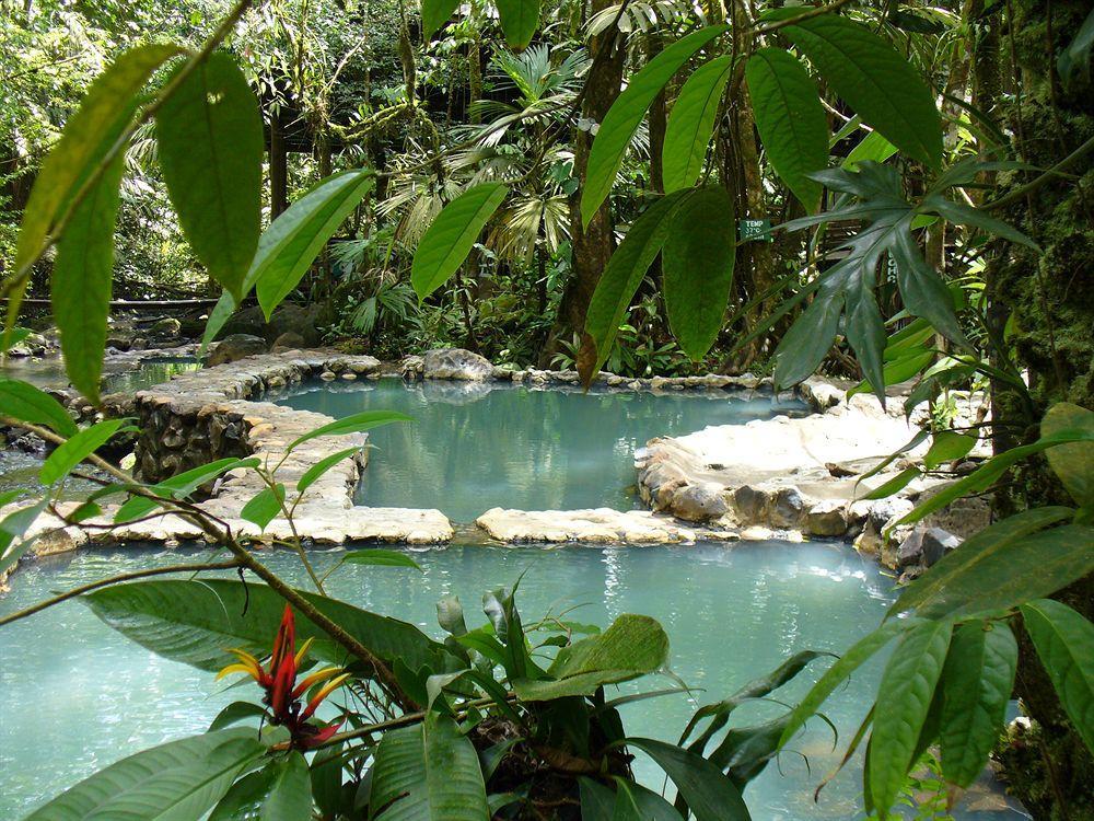 Hotel Termales Del Bosque & Hot Springs La Marina Zewnętrze zdjęcie