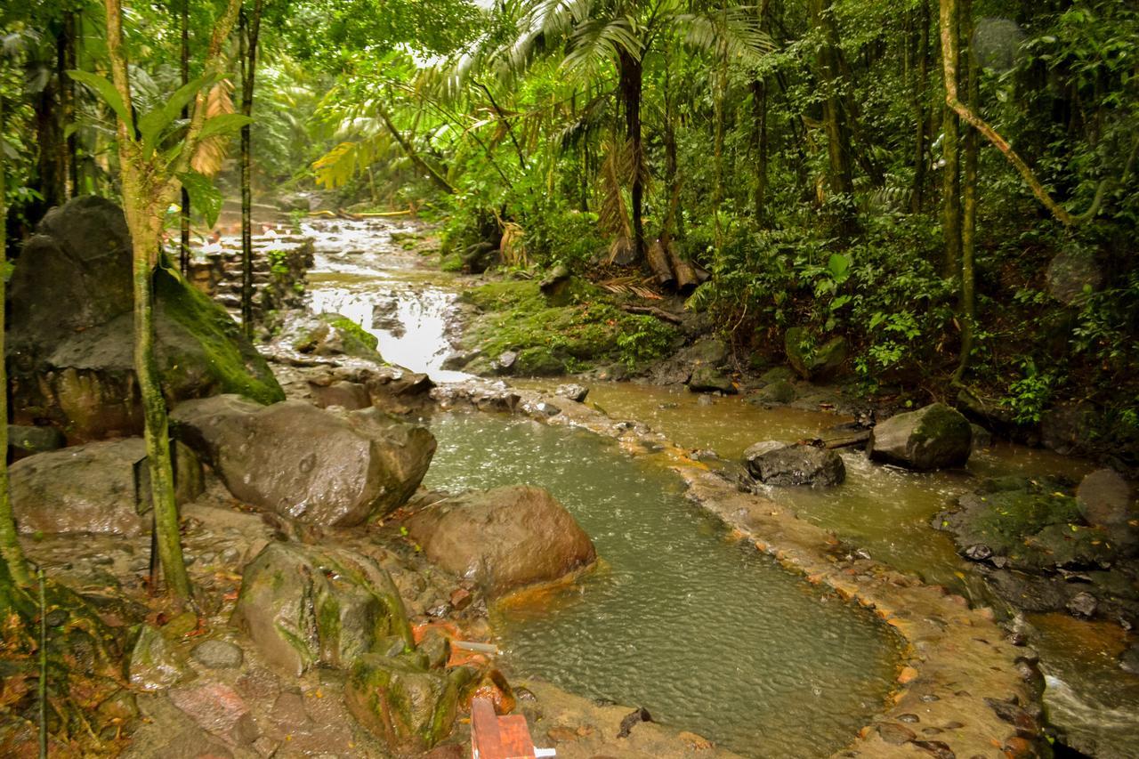 Hotel Termales Del Bosque & Hot Springs La Marina Zewnętrze zdjęcie