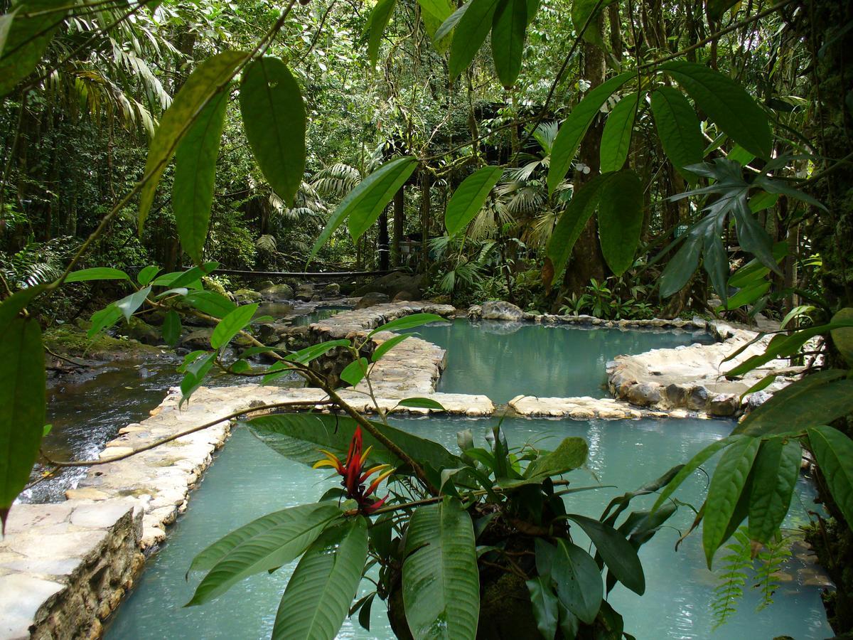 Hotel Termales Del Bosque & Hot Springs La Marina Zewnętrze zdjęcie