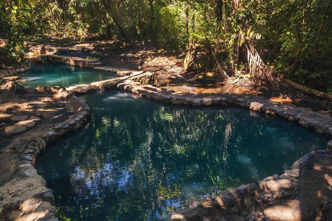 Hotel Termales Del Bosque & Hot Springs La Marina Zewnętrze zdjęcie