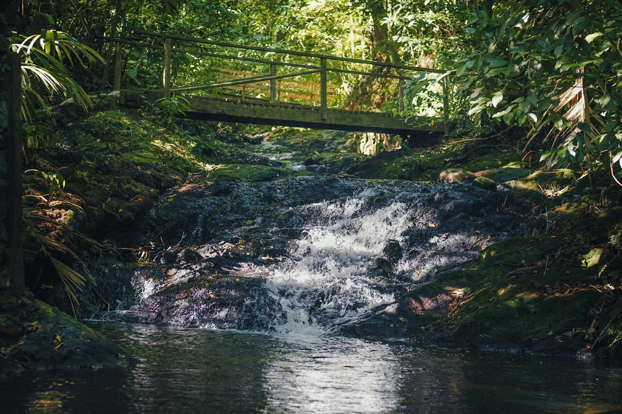 Hotel Termales Del Bosque & Hot Springs La Marina Zewnętrze zdjęcie