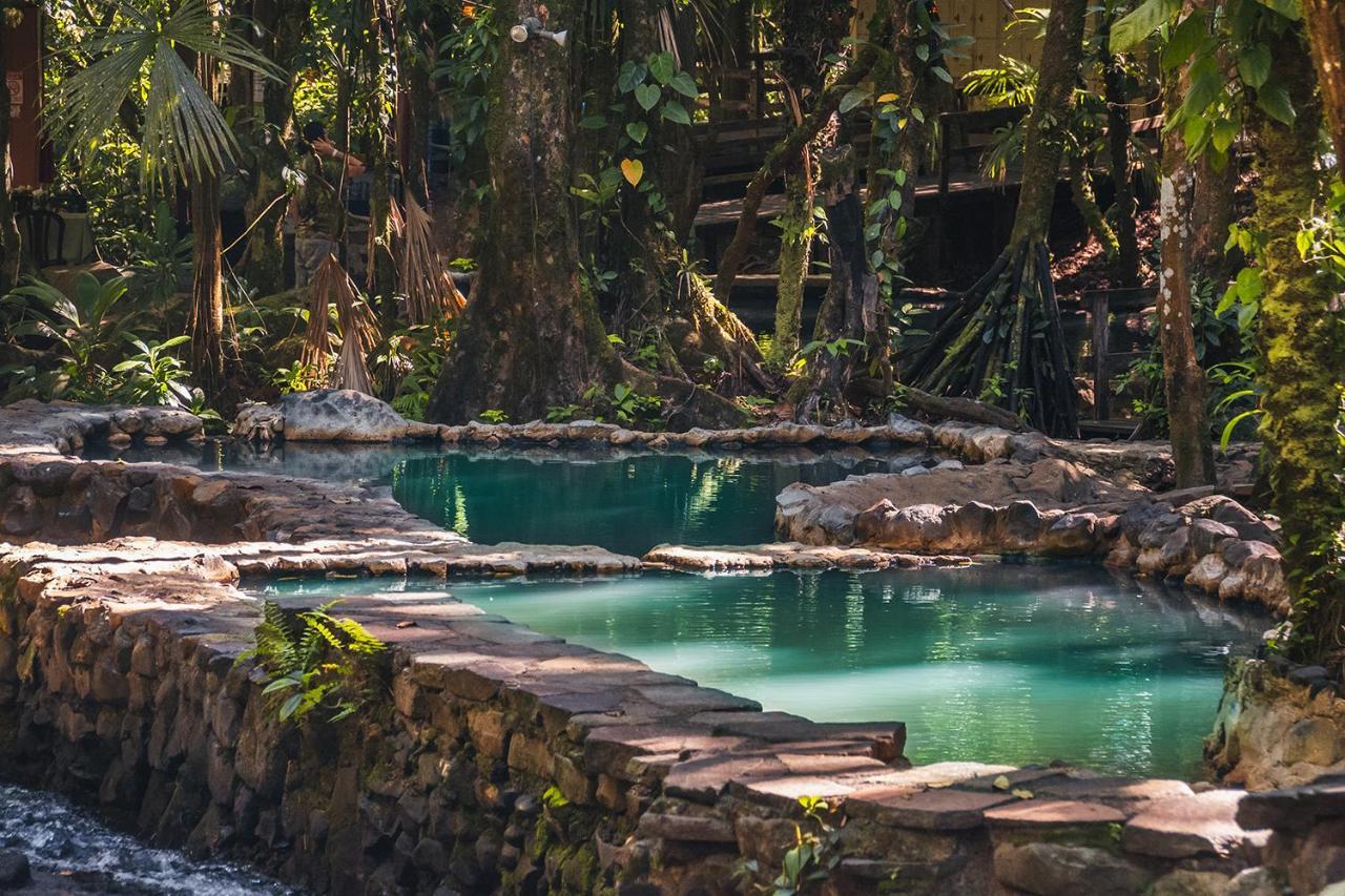 Hotel Termales Del Bosque & Hot Springs La Marina Zewnętrze zdjęcie