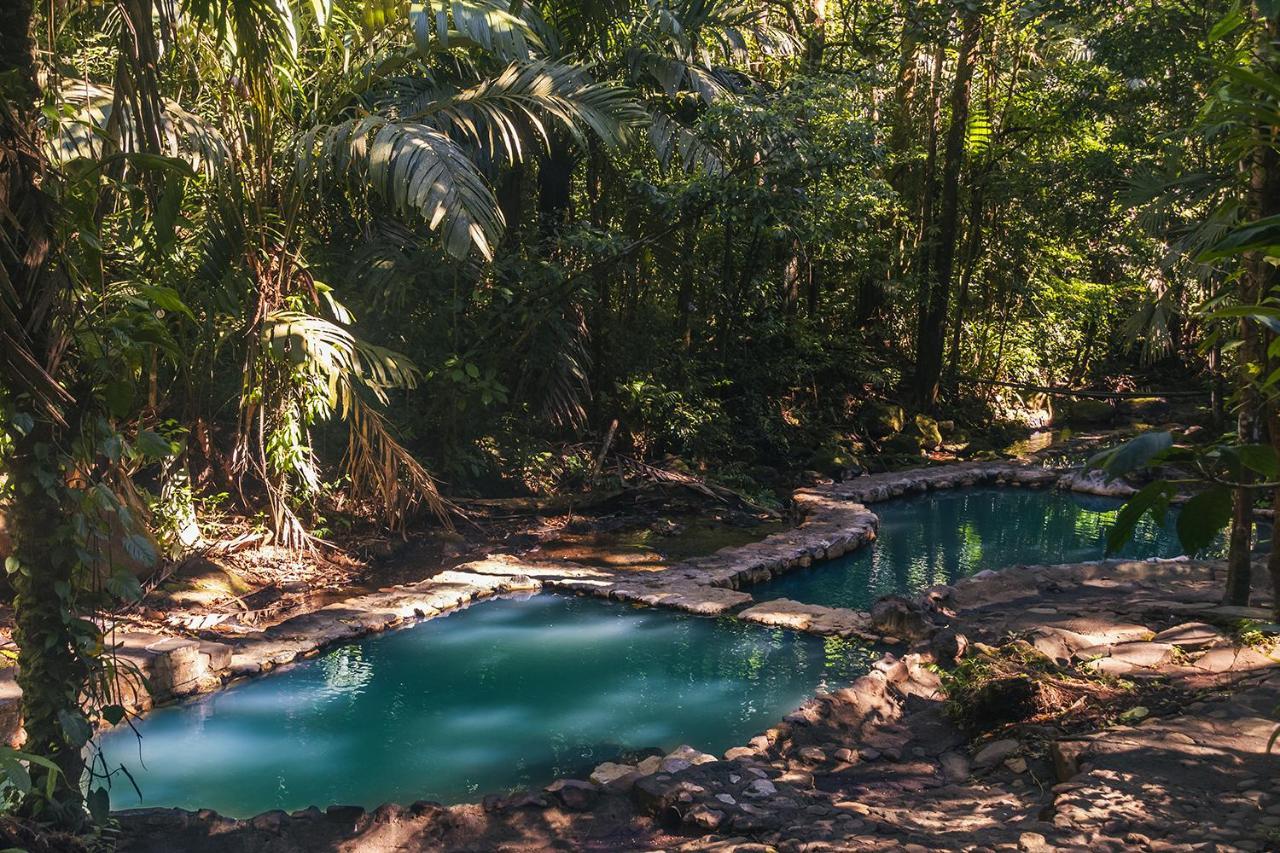 Hotel Termales Del Bosque & Hot Springs La Marina Zewnętrze zdjęcie